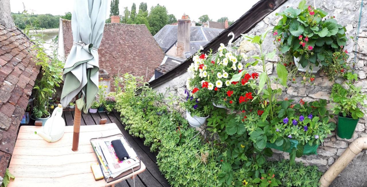Maison De La Loire ลาชาริเต-ซูร์-ลัวร์ ภายนอก รูปภาพ