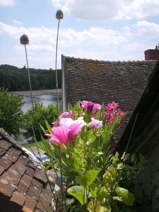 Maison De La Loire ลาชาริเต-ซูร์-ลัวร์ ภายนอก รูปภาพ